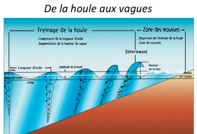 Schéma des phases de la houle