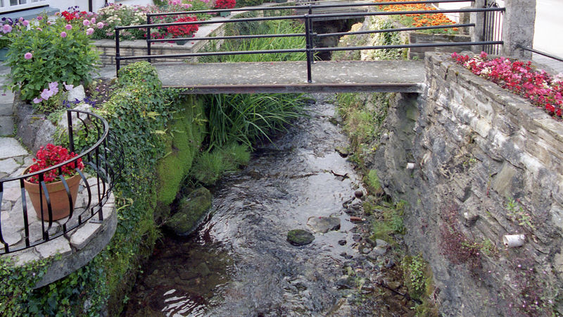 Fichier:2004 dartmoor687.jpg
