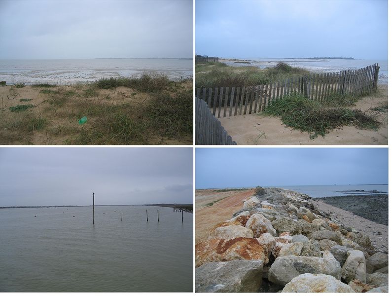 Fichier:PDB 4 images.jpg