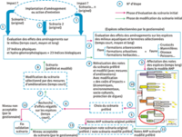 Gemapi-Parcours-Photo5.png