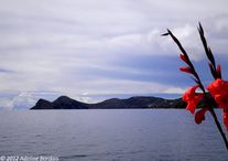 Lac titicaca, Bolivie.jpg