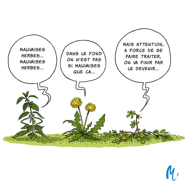 Fichier:Melimelo produits phyto.jpg
