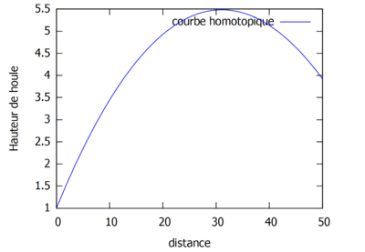 Homotopique ordre 1 k non constant.PNG