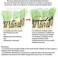 Vignette pour la version du 23 novembre 2012 à 12:04