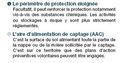 Vignette pour la version du 22 novembre 2012 à 11:59