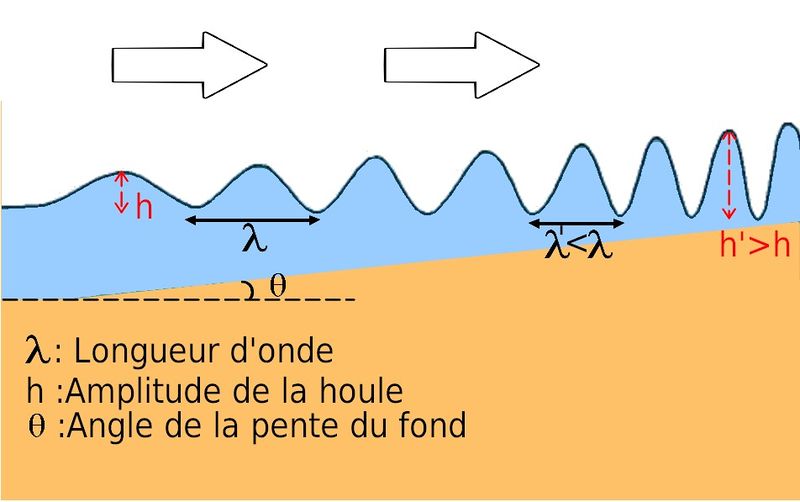 Fichier:Shoaling.jpg