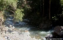 Rivière d'Ollantaytambo, Pérou.jpg