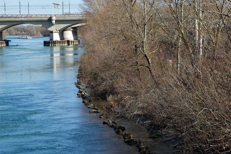 Fichier:Berges rhone1.jpg