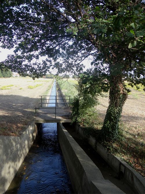 Agouille - Canal de Perpignan