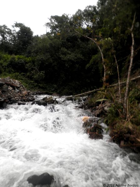 Fichier:Vue d'intérieur du lit d'un cours d'eau, Pérou2.jpg