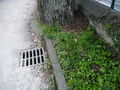 Vignette pour la version du 16 avril 2020 à 10:57